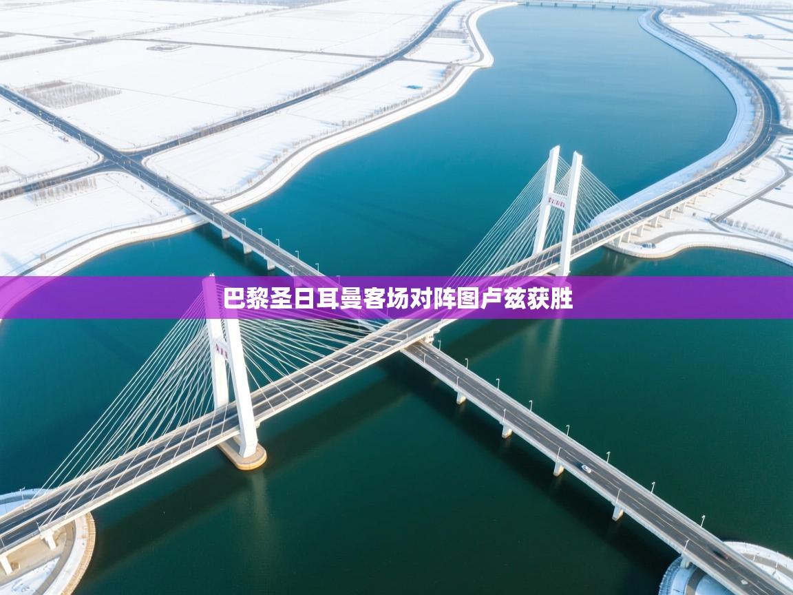 巴黎圣日耳曼客场对阵图卢兹获胜  第2张