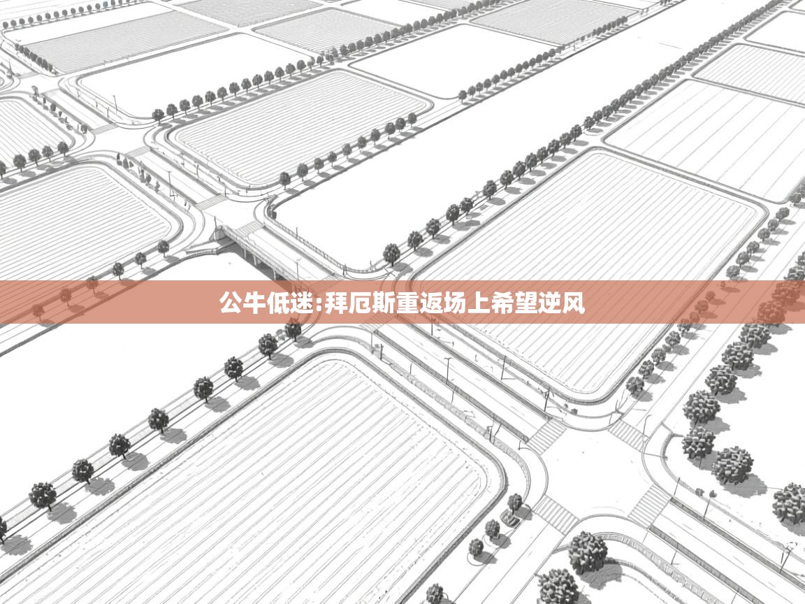 公牛低迷:拜厄斯重返场上希望逆风 第2张