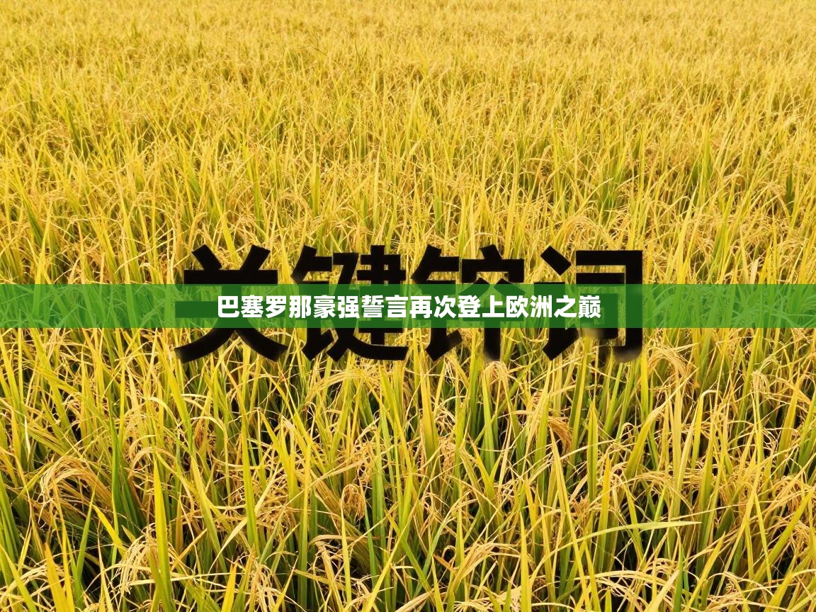 巴塞罗那豪强誓言再次登上欧洲之巅 第1张