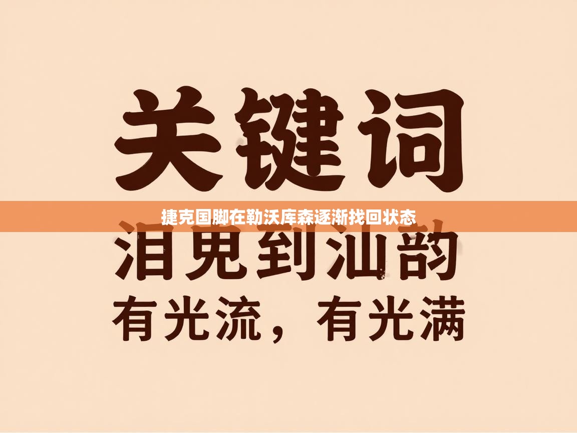 捷克国脚在勒沃库森逐渐找回状态  第2张